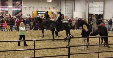 Chris gives a riding clinic at Equine Affaire at Big E